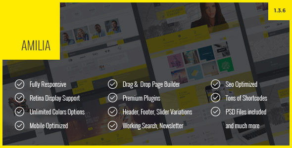 Download Free Amilia v1.3.6 – Multipurpose One & Multi Page WP Theme
