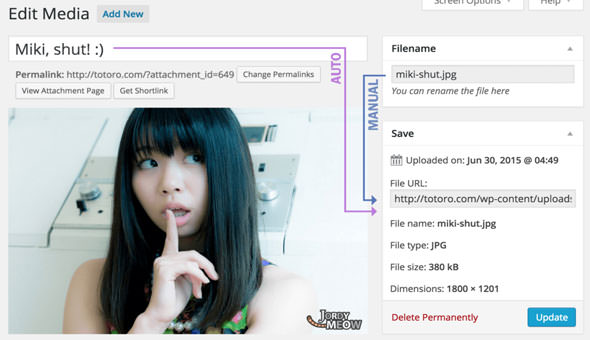 Download Free Media File Renamer Pro v4.2.4