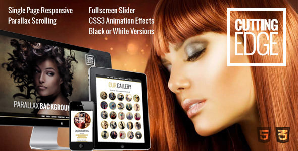 Download Free Cutting Edge v1.0.1 – Spa Hair Salon WooCommerce Theme