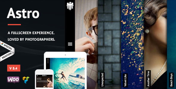 Download Free Astro v5.4 – Showcase/Photography WordPress Theme