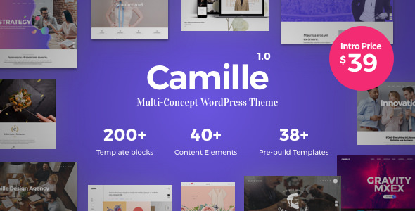 Download Free Camille v1.0.2 – Multi-Concept WordPress Theme