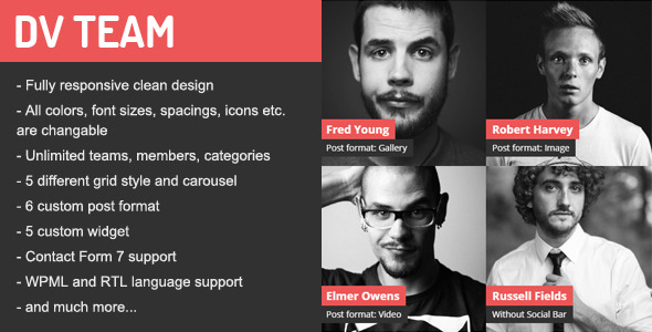 Download Free DV Team v1.7.1 – Responsive Team Showcase Plugin