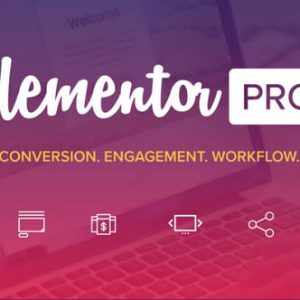 [Download] Elementor Pro v2.9.5 NULLED - Crack Themes