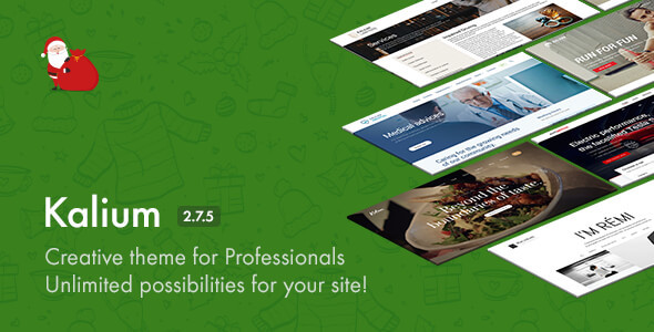 Download Free Kalium v2.7.5 – Creative Theme for Professionals