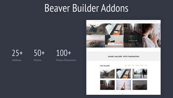 Download Free Livemesh – Addons for Beaver Builder Pro v2.5