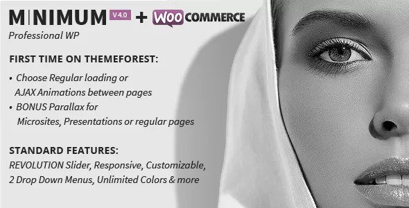 Download Free MINIMUM v4.0 – Professional WordPress Theme