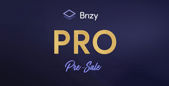 Download Free Brizy Pro v0.0.25 – WordPress Builder Plugin