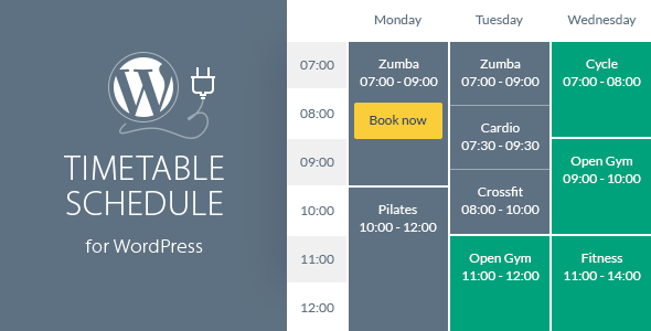 Download Free Timetable Responsive Schedule v5.9